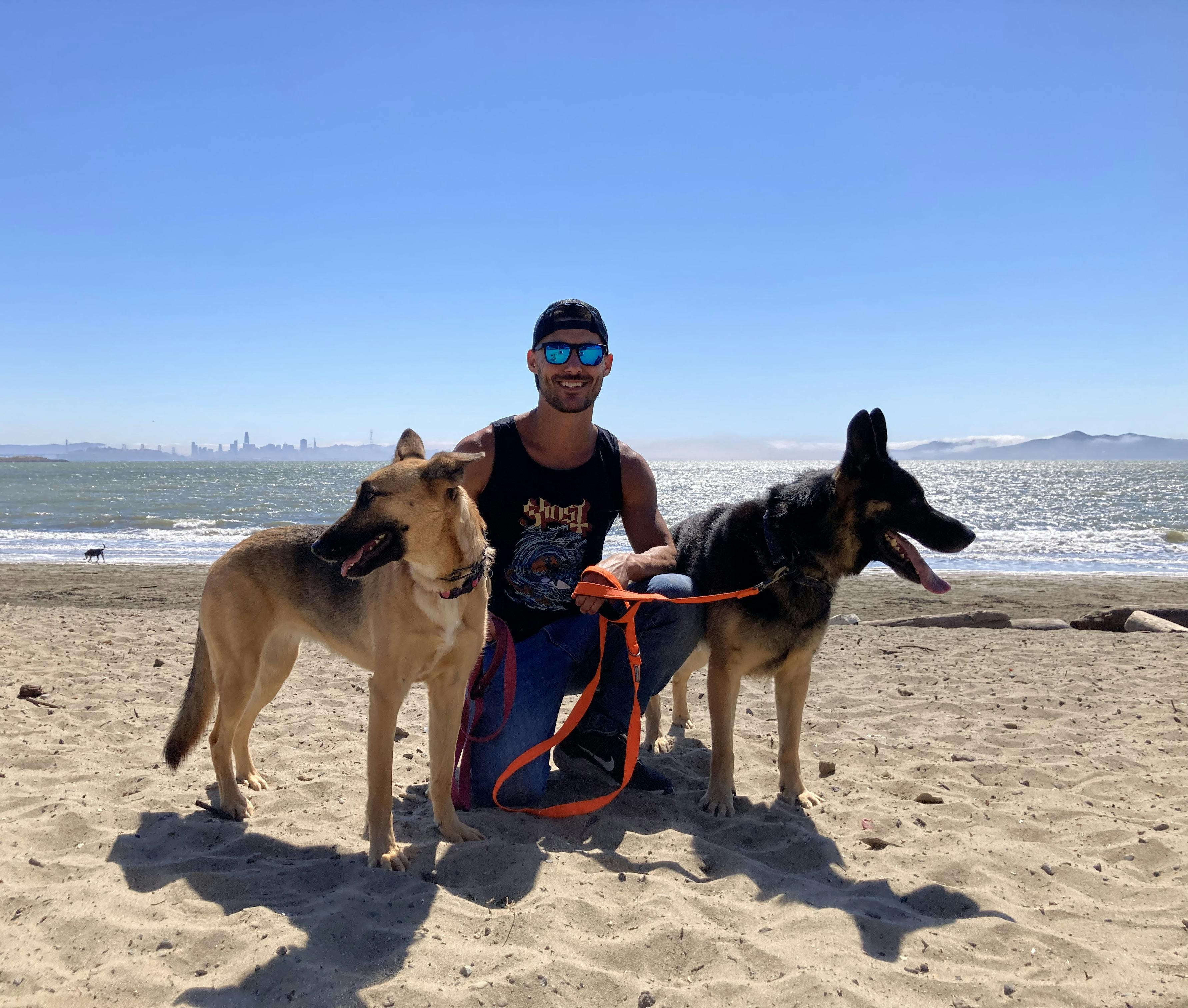 A photo of Nico with 2 German Shepherds on a beach with the San Francisco Bay in the background.